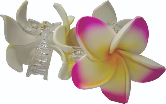 12pk Medium Frangipani Hair Clips
