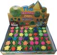 Growing Cactus Toy Box of 48