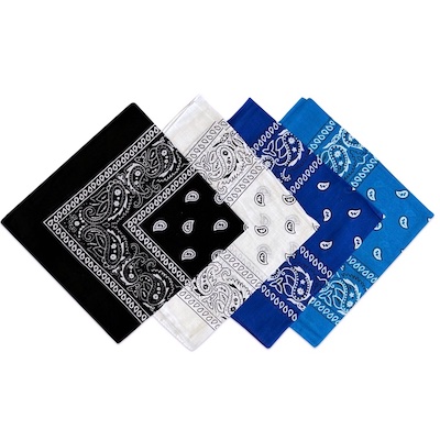 Cotton Paisley Bandana Assorted