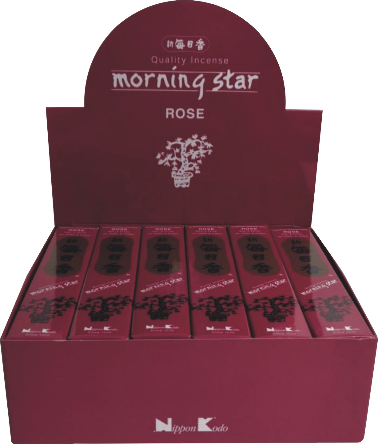 Rose Morning Star