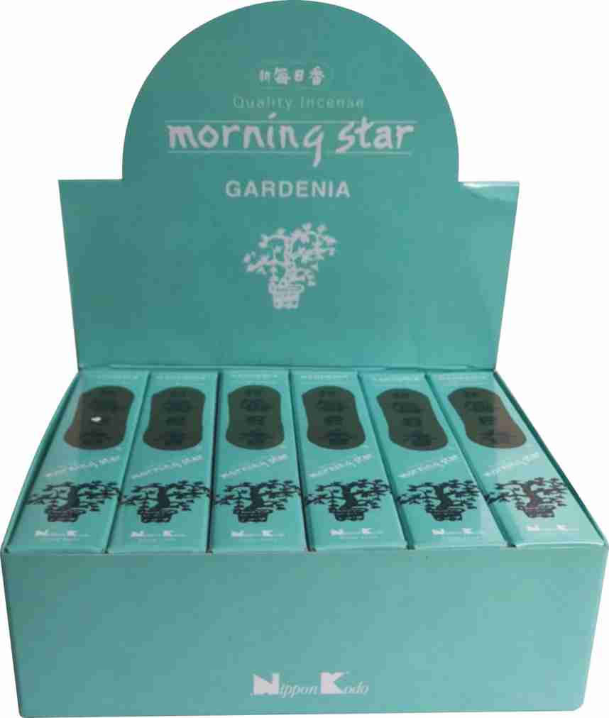 Gardenia  Morning Star
