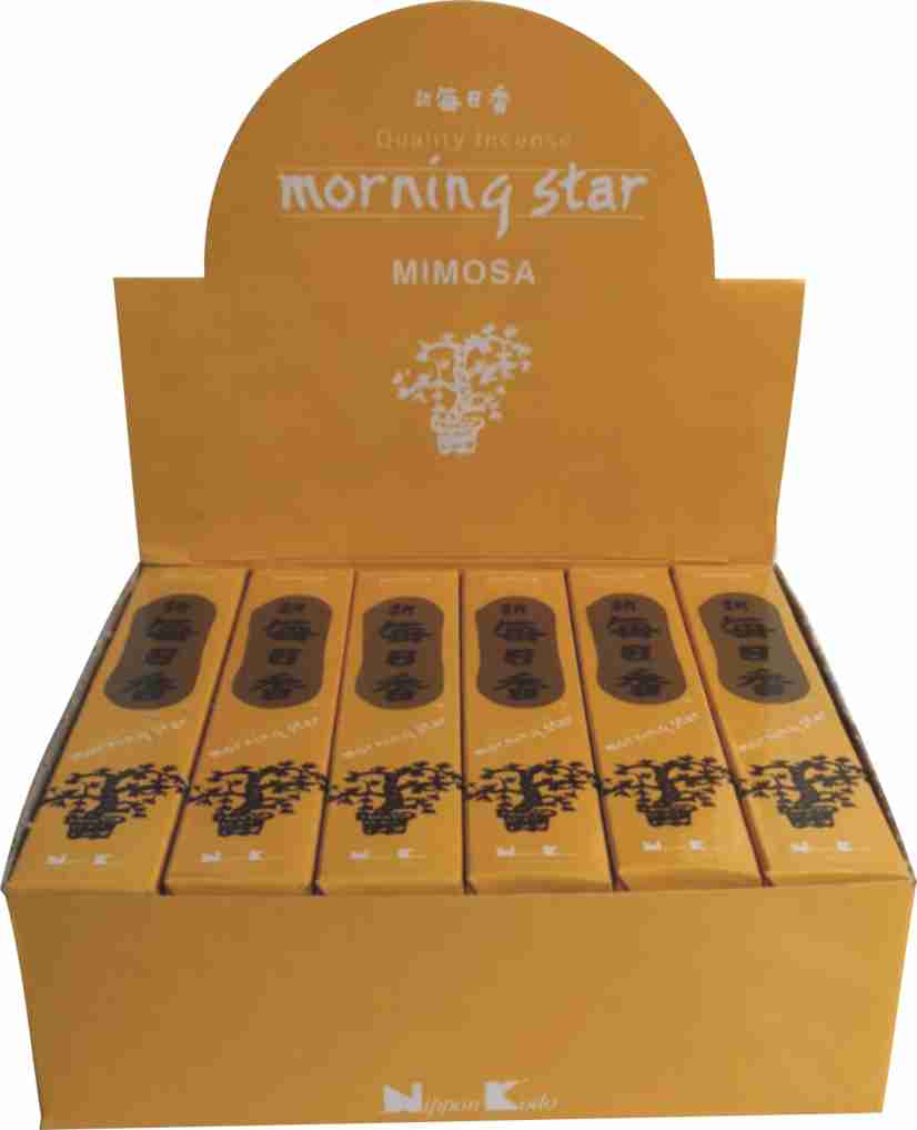 Mimosa  Morning Star
